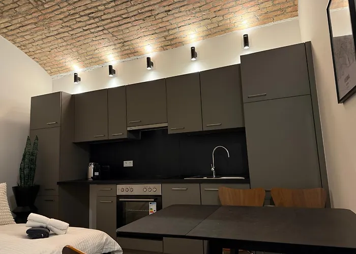 Renovated Premium Viena